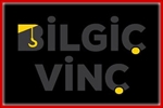 Bilgiç Vinç – 35 Ton Çift Kırmalı Vinç