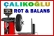 Çalıkoğlu Rot Balans – Bilgisayarlı Fren Testi