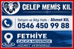 Celep Memiş Kıl – Canlı Hayvan Alım Satım