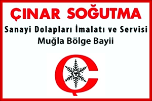 Çınar Soğutma – Endüstriyel Soğutma İmalat