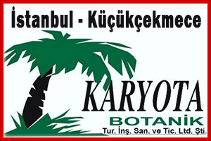 Karyota Botanik İstanbul – 0212 599 84 52
