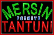 Mersin Tantuni Fethiye