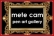 Mete Cam – Pen Art Gallery