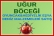 Uğur Böceği Oyuncak – Seyyar Hediyelik Eşya